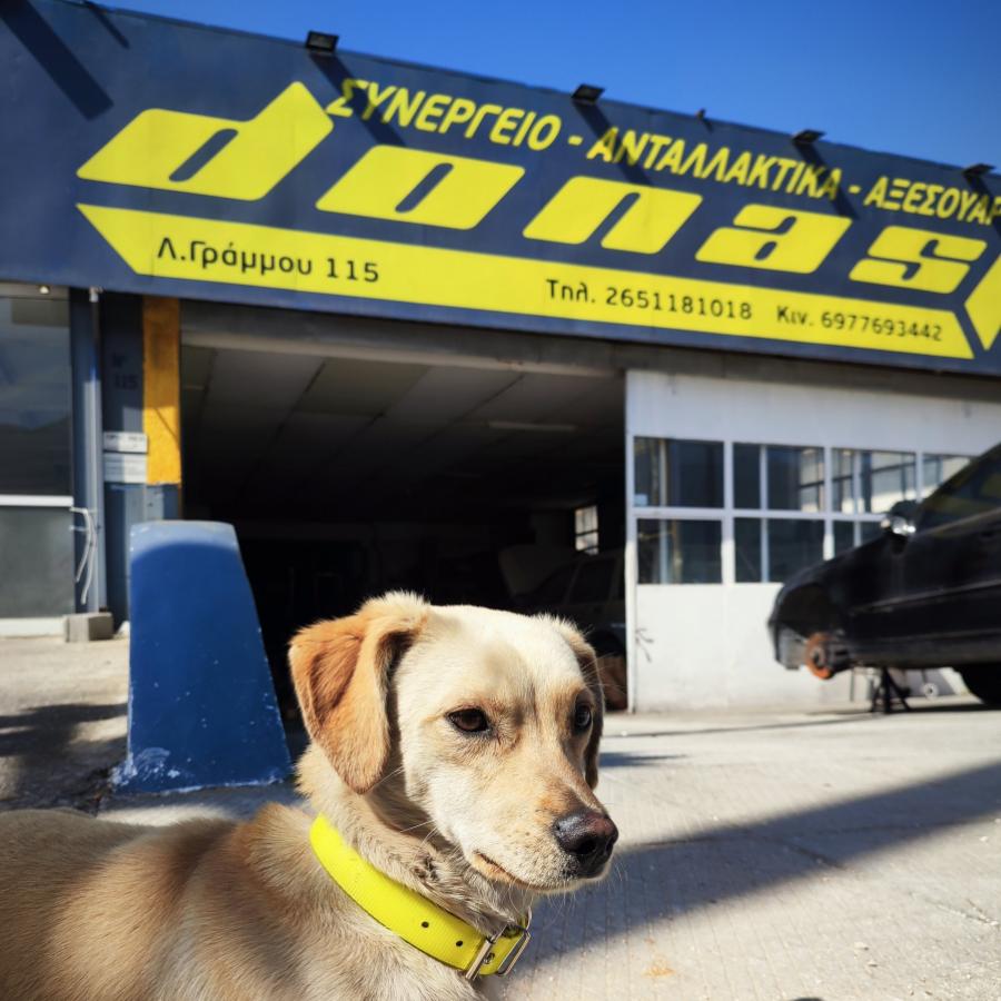 Ο Μπάμπης, η μασκότ του συνεργείου